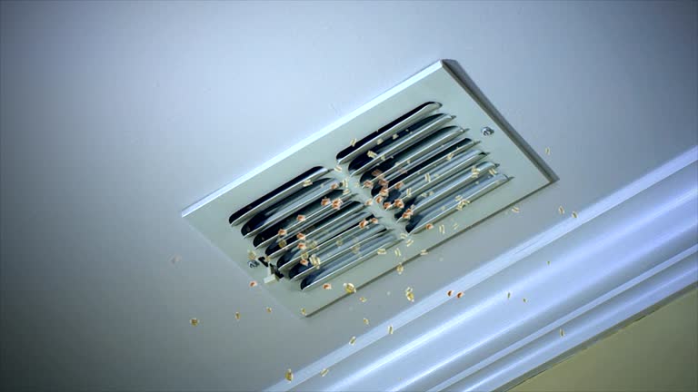 Best HVAC Maintenance and Cleaning  in Palmetto Estates, FL