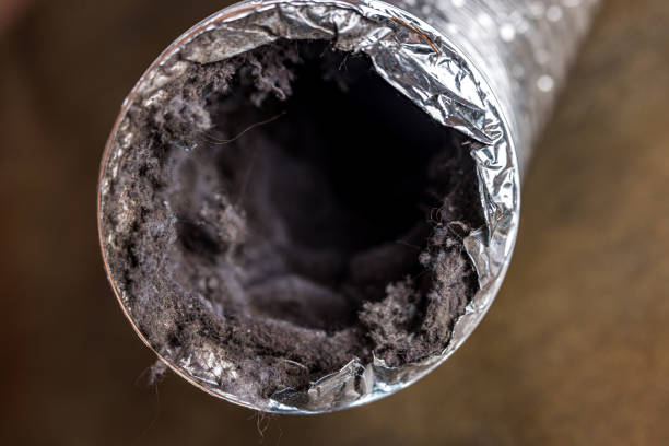 Best Air Duct Cleaning Company Near Me  in Palmetto Estates, FL