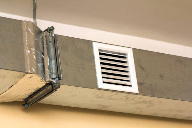 Best Dryer Vent Cleaning Services  in Palmetto Estates, FL